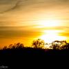 Golden Sunset